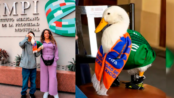 Pato Merlín en el IMPI