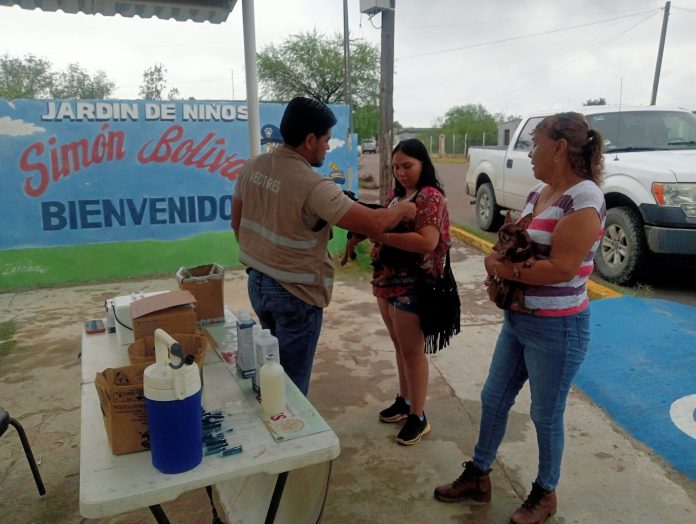 El Gobierno Municipal de Múzquiz mantiene campañas permanentes de vacunación antirrábica, prevención de rickettsiosis