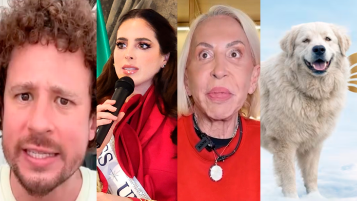 Artistas piden justicia por el perrito Rocky