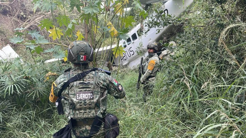 Cae avioneta que salió de Piedras Negras
