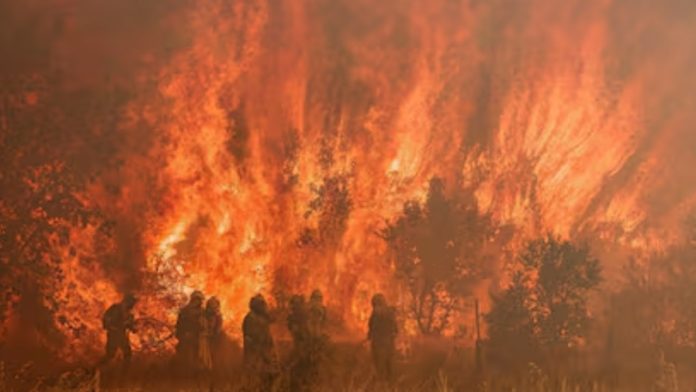 Equipos de emergencia logran controlar los incendios forestales en España