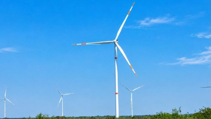 Gobierno de México impulsa nuevos proyectos de energía eólica para 8 millones de hogares