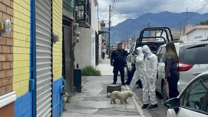 Hallan a un joven sin vida