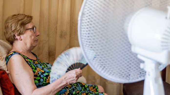 Olas de calor: La ONU emite recomendaciones vitales para enfrentar las altas temperaturas