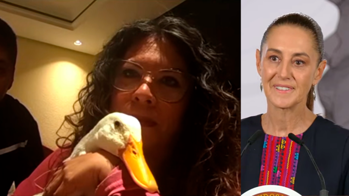 Pato Merlín ya tiene casa