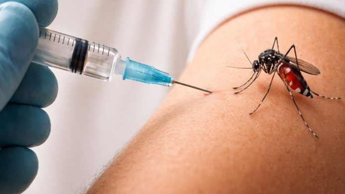 Piden integrar la vacuna contra el dengue al Programa de Vacunación Universal en México