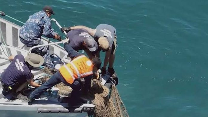 SEMAR destaca la importancia del medio ambiente marino para el desarrollo sustentable de México