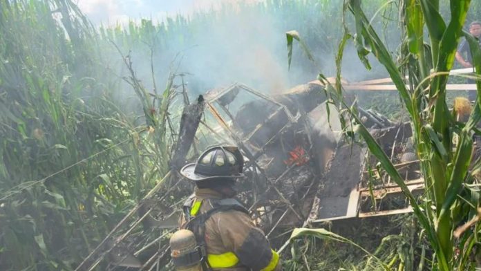 Se desploma avioneta: Piloto resulta ileso