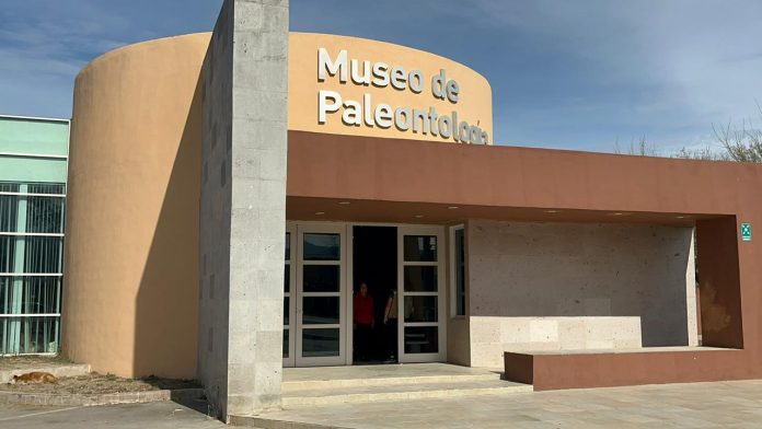 El Museo de Paleontología de Múzquiz invita a niñas y niños de 6 a 12 años a un Curso de Verano gratuito y bilingüe dedicado a los dinosaurios.