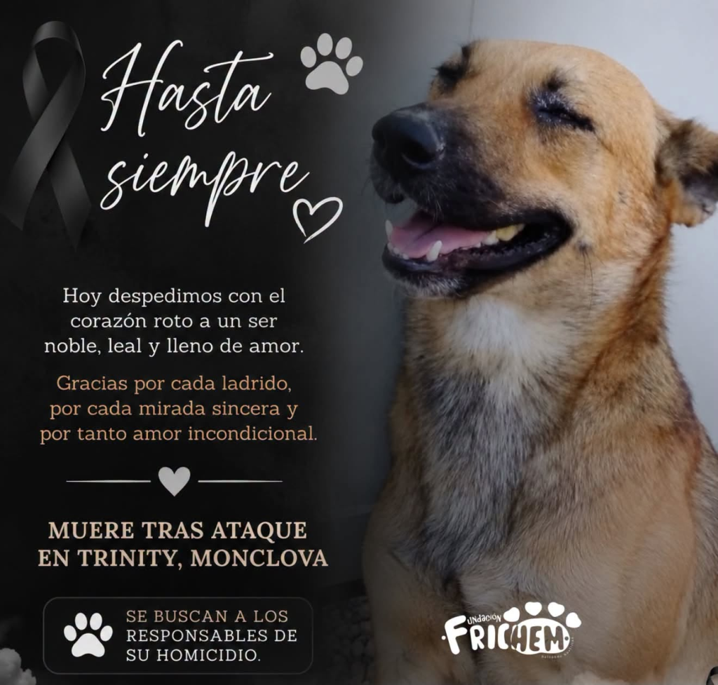 Publicación de Fundación Frichem, A.C. en Facebook
