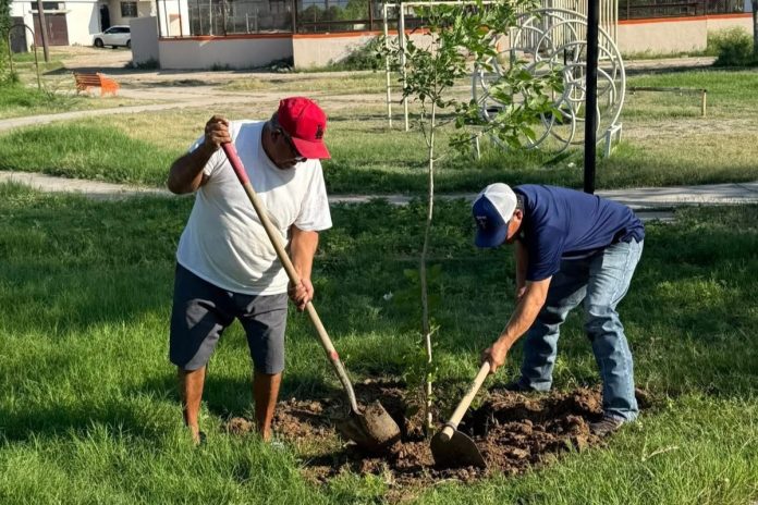 Se suma CNOP a actividades vecinales de limpieza
