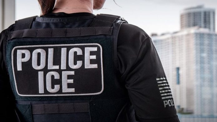 Claudia Sheinbaum rechaza uso de guantes eléctricos de ICE en operativos migratorios