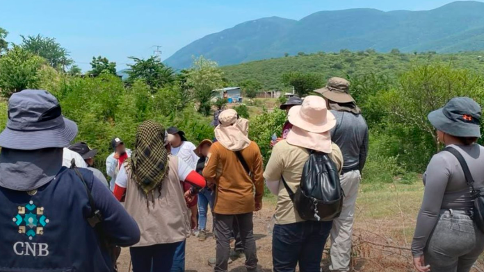 Comisión Nacional de Búsqueda realiza acciones forenses en Guerrero