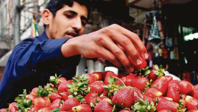 EU acusa a fresas mexicanas de ‘dumping’ y México responde: “No son consistentes”