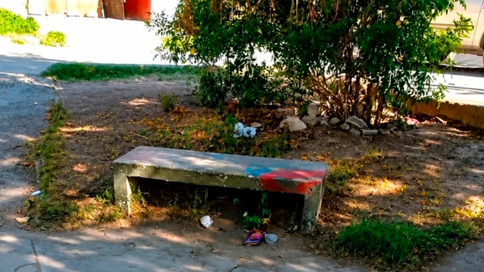 Hallazgo en la colonia San Ignacio