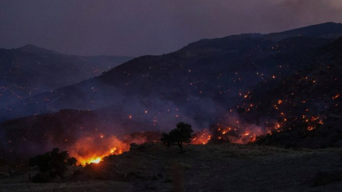 Incendios forestales: Emergencia extrema deja tres bomberos fallecidos