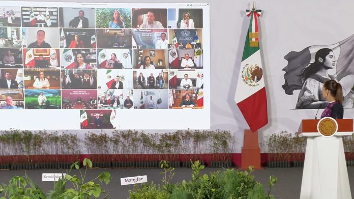 Jornada nacional de reforestación en México