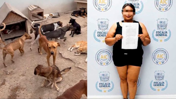 Lizbeth ‘N’, fundadora de Frichem, es enviada a penal