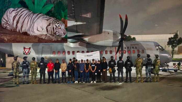 Operativo contra el CJNG en Hidalgo, Jalisco y Michoacán