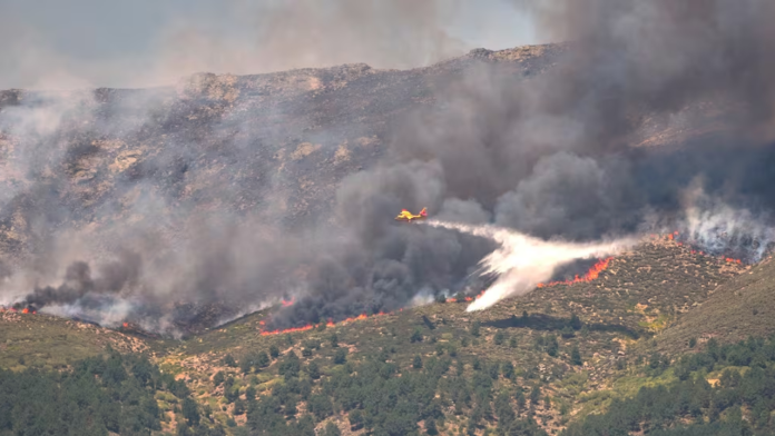 Coahuila mantiene control de incendios forestales con atención inmediata