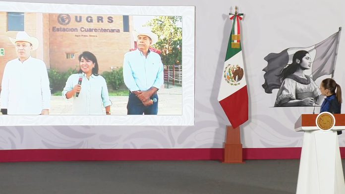 Sonora retoma exportación de ganado