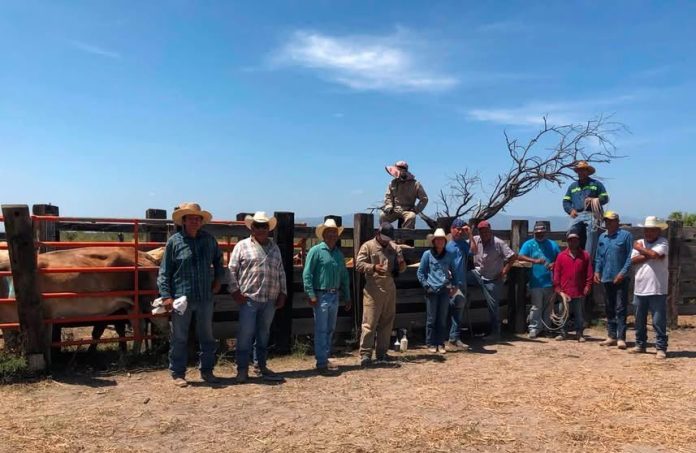 Refuerzan combate al gusano barrenador en ejidos de Múzquiz Meta descripción: Continúa la segunda etapa del barrido contra el gusano barrenador en ejidos de Múzquiz; productores son convocados a reunir su ganado para las jornadas sanitarias.