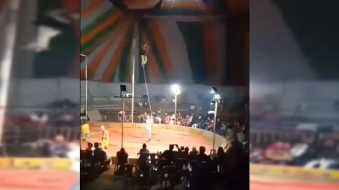 Acróbata muere durante función de circo
