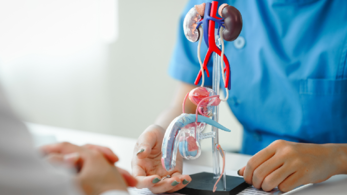 Buscan fortalecer la detección temprana del cáncer de próstata en Coahuila