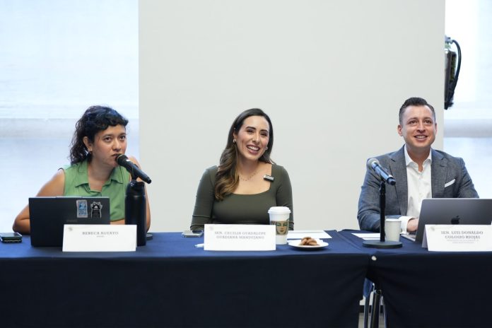 Cecilia Guadiana llama a fortalecer protección de infancias en entornos digitales