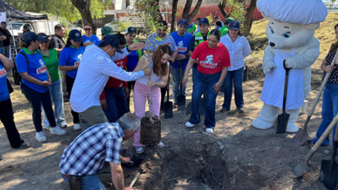 Convierten zona que se inunda en Fundadores en espacio para reforestar