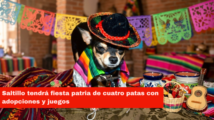 Saltillo tendrá fiesta patria de cuatro patas con adopciones y juegos