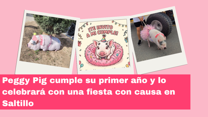 Peggy Pig cumple su primer año y lo celebrará con una fiesta con causa en Saltillo