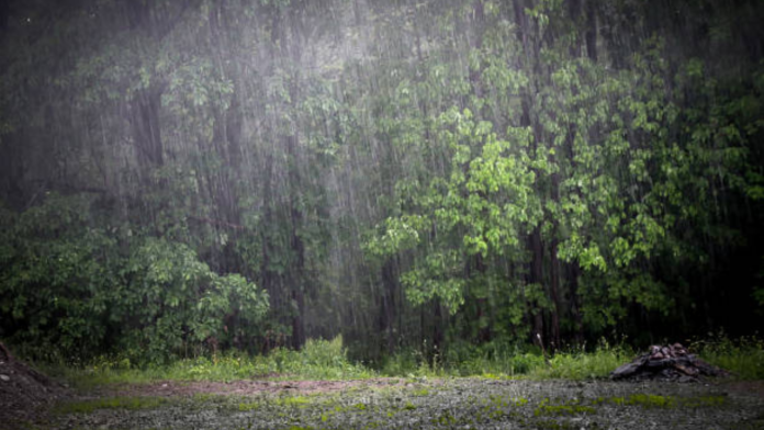 Proponen crear un “bosque de lluvia” para recuperar los acuíferos del Sureste de Coahuila