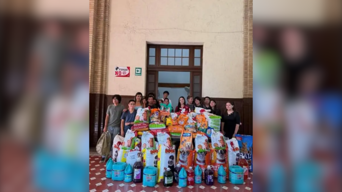 ¡De estudiantes para lomitos! Alumnos del Ateneo apoyan a refugio de perros rescatados