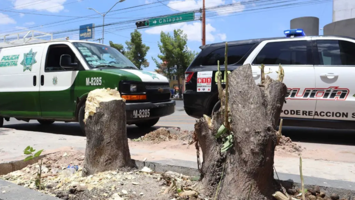 ¡Hasta 2.3 millones! Saltillo endurecerá multas por daños al medio ambiente