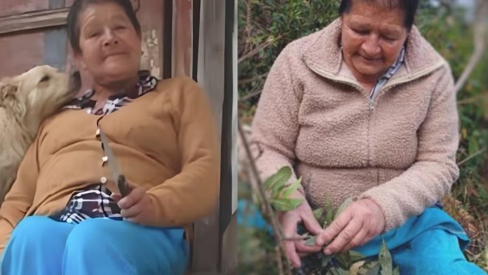 Caso doña Blanca: mujer de 72 años murió tras violenta agresión en Colombia; su familia exige justicia