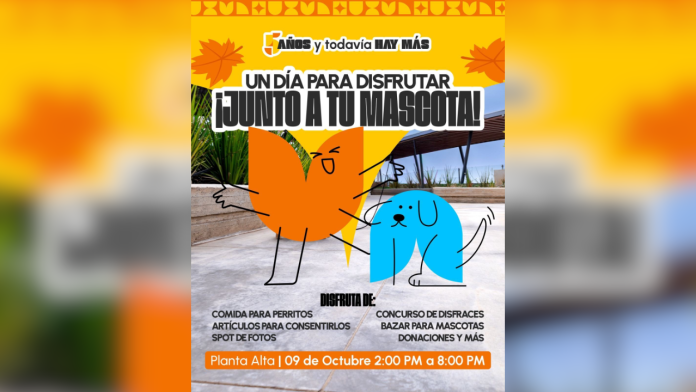 ¡Plan con lomitos! Saltillo tendrá feria de adopciones y convivencia para mascotas este viernes